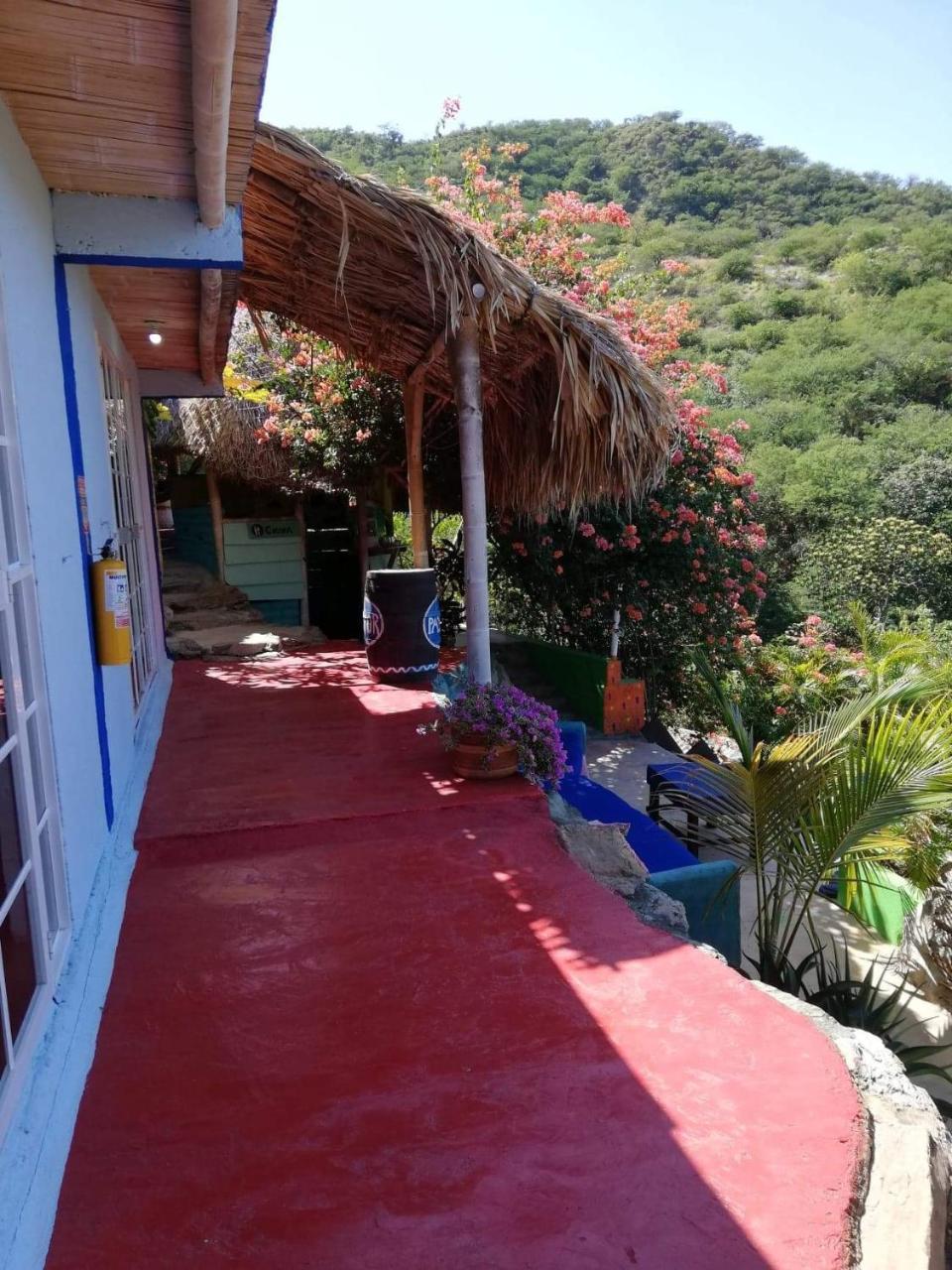 Hostal Casa Horizonte Taganga Bagian luar foto